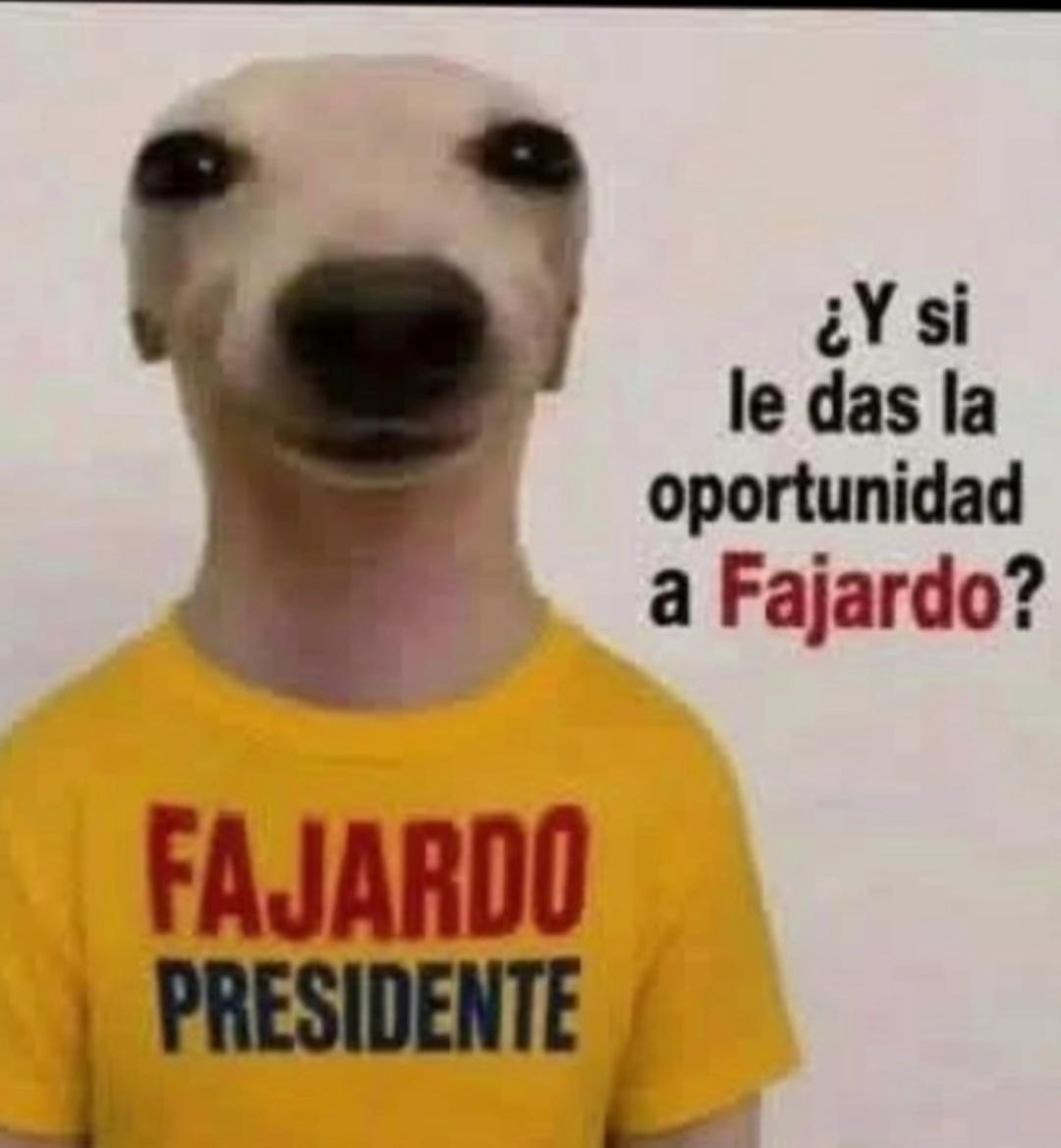 stevenscar's tweet photo. #FajardoEnPrimera https://t.co/AXrIRzIMCS