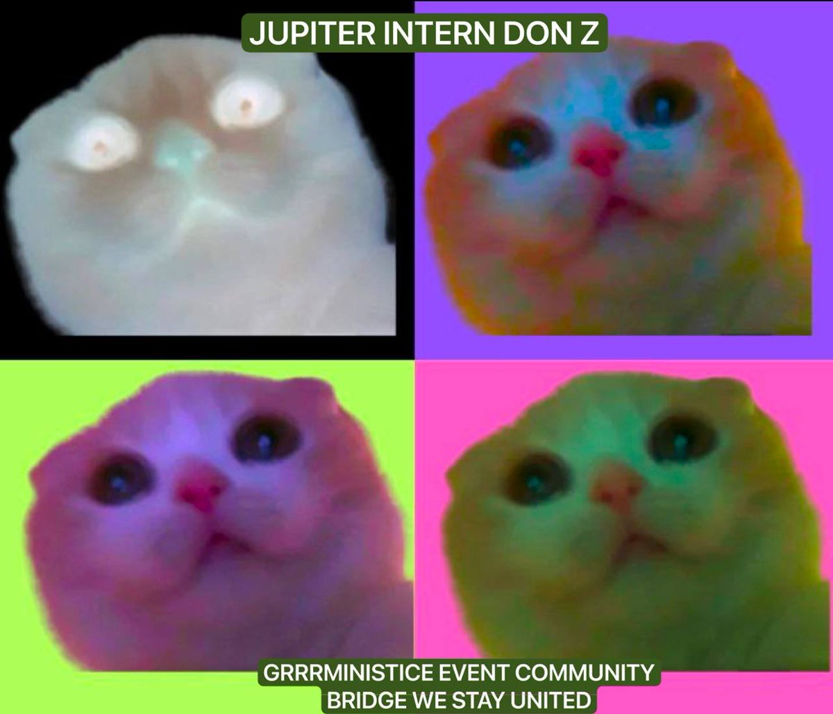 SolpapiZ's tweet photo. @jup_studio only the ones who followed the breadcrumbs gonna make it, give last staring at you spaces a spin new intern is here 2027 make it happen @weremeow https://t.co/gFVpKKsnHR