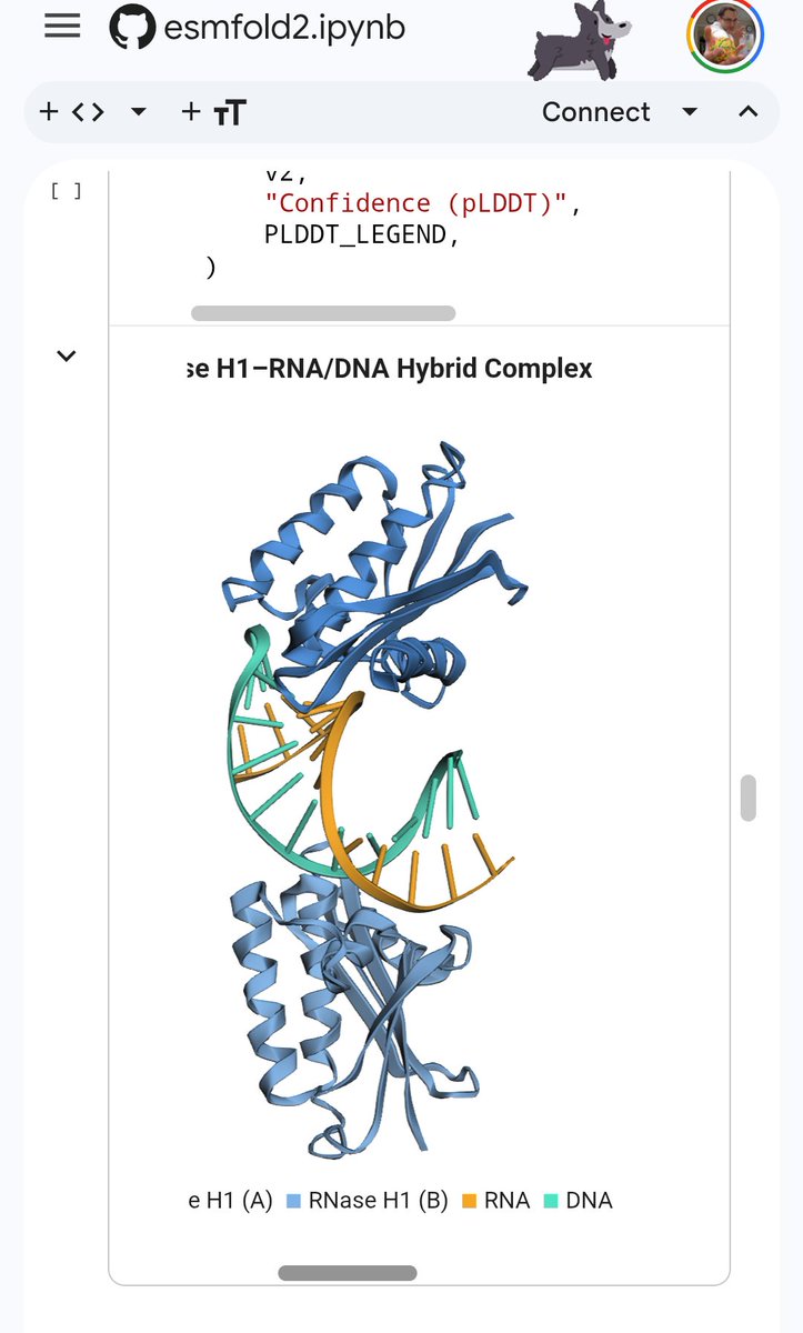 sokrypton's tweet photo. ESMfold2, includes support for protein-protein interactions, DNA/RNA, small molecules. Including colab notebook!
https://t.co/kivCKw9AxL https://t.co/ydkrjAsWDA