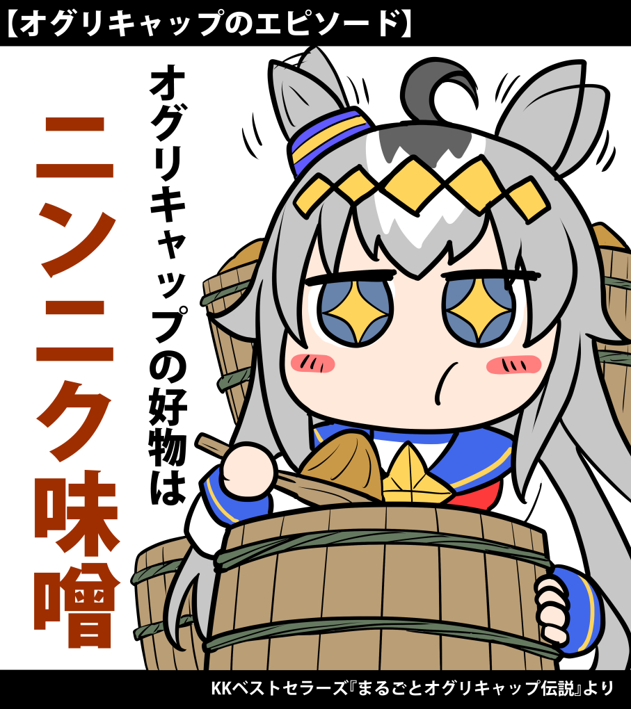 ニンニク味噌ラーメンまとめです 