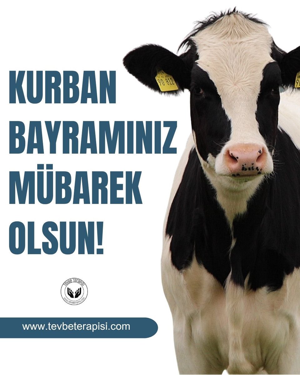 Tevbe Terapisi tweet media