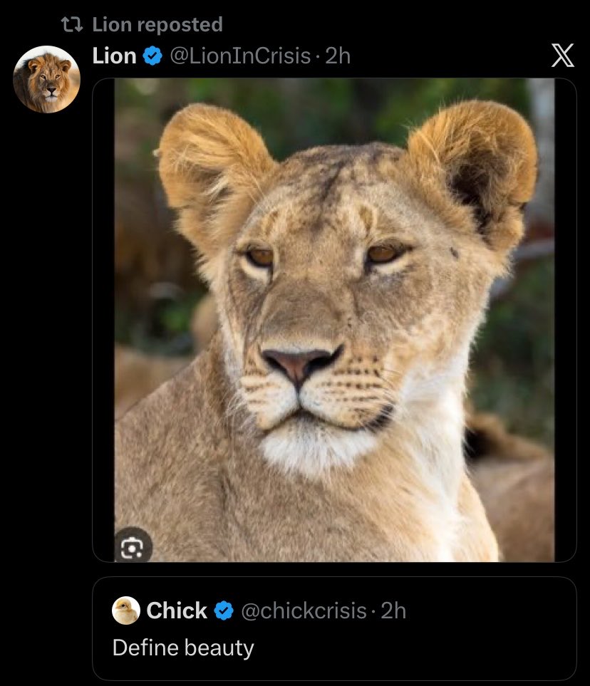 Lioness 🦋🌺 tweet media