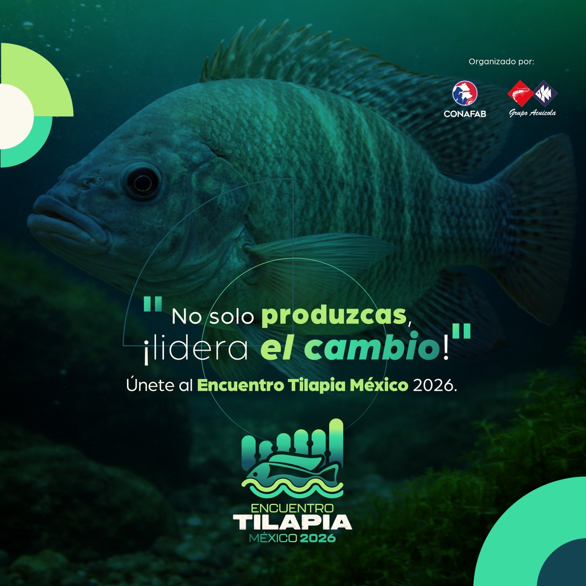 Conafab, A.C. tweet media