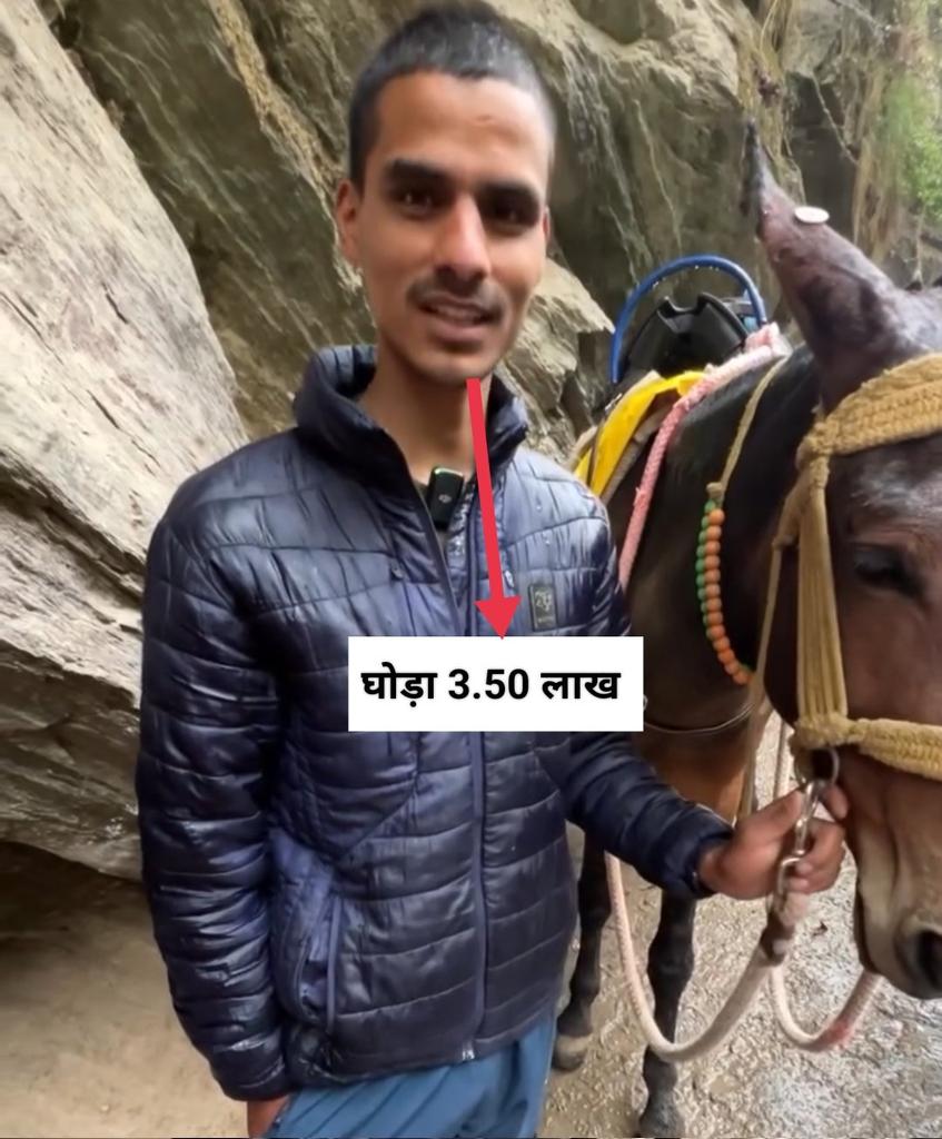 sona tweet media