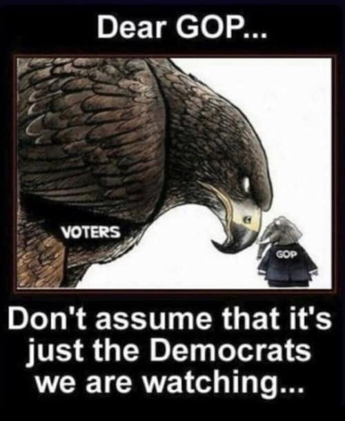 TodCountry's tweet photo. @SaltyGoat17 John Thune must be panicking.  He's already started sending out campaign flyers for 2028!

The RINO's are being removed one by one! https://t.co/GkwwSwKCnL