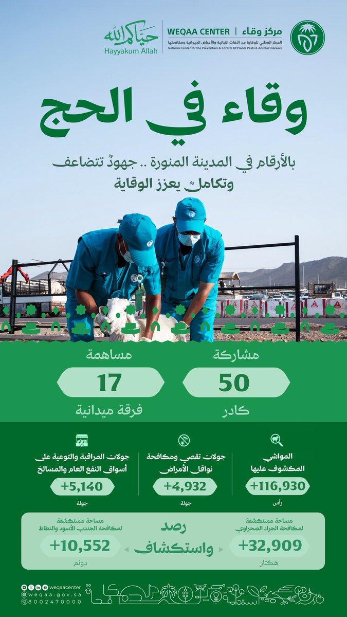 WeqaaCenter's tweet photo. تعزيزاً للصحة العامة وسلامة زوار المسجد النبوي الشريف يواصل مركز #وقاء في #المدينة_المنورة جهوده الرقابية والوقائية على مدار الساعة بفرق ميدانية متكاملة.
#وقاء_لتطمئن
#حياكم_الله
#حج_1447هـ https://t.co/bdy7jCb82F