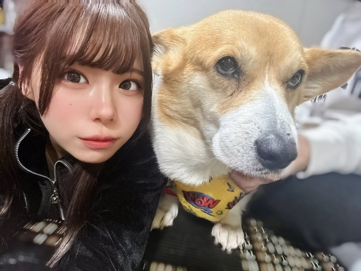 夜行性記録bot tweet media