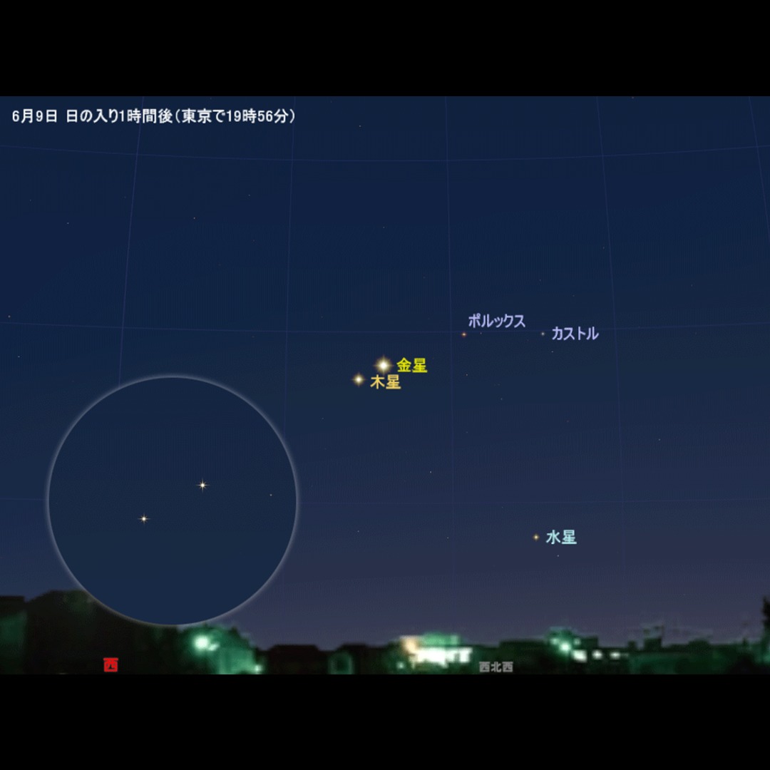nikon_chan's tweet photo. 6月の星空写真...𖤐
／
初夏の棚田と天の川
＼
𖥣 愛知県四谷千枚田

今月は、西の夕空
宵の明星・一番星「金星」の輝きに注目だね＾＾

𖥏9日頃：木星と接近
𖥏17~18日：細い月が近くに
𖥏20日頃：プレセペ星団と接近

明けの東の空では
月末に火星とプレアデス星団が共演♪

𖦝 画像タップで詳細