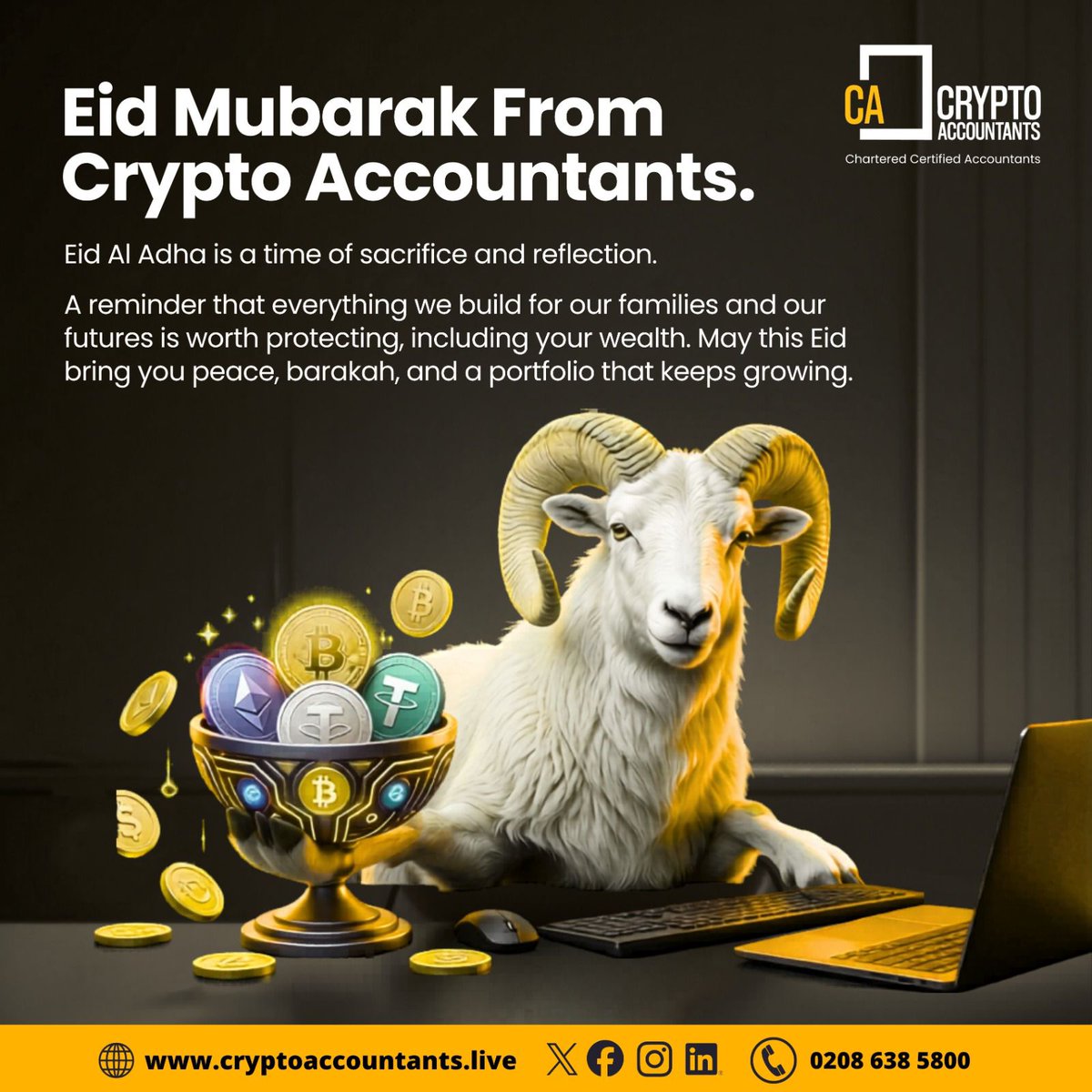 Crypto Accountants tweet media