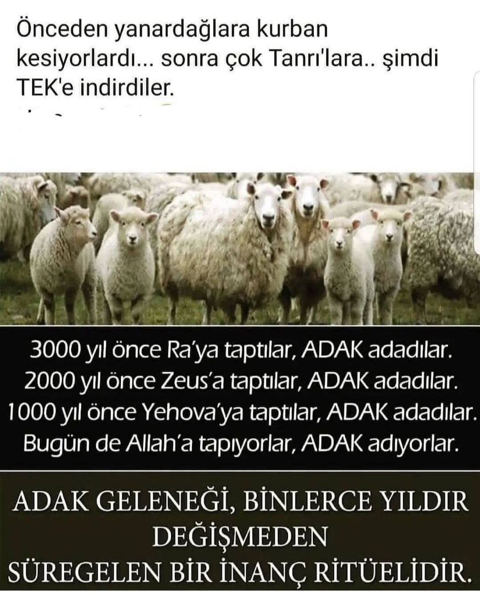Erman Armağan tweet media
