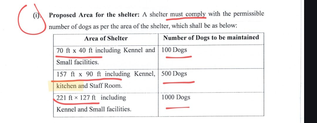 SnakePlisskenO's tweet photo. @gauri_maulekhi @narendramodi First you're answerable for this cruelty SOP so answer this why should innocent docile dogs be crammed like this???

Why do we need animal abusers when we have many sitting in the guise of animal welfare? https://t.co/UuyzwCbL6n