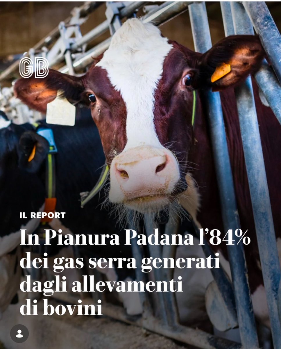 FC Irrazionale ☭ tweet media