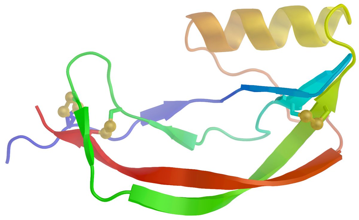 fornerislab's tweet photo. New #preprint from the lab! We are excited to share a sneak peek into a very exciting and still developing story about #mosquito #vitellogenins. 

https://t.co/LNk3mSjRtN https://t.co/psQA4tgNWT