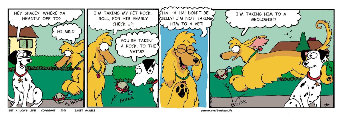 GetADogsLife1 tweet picture
