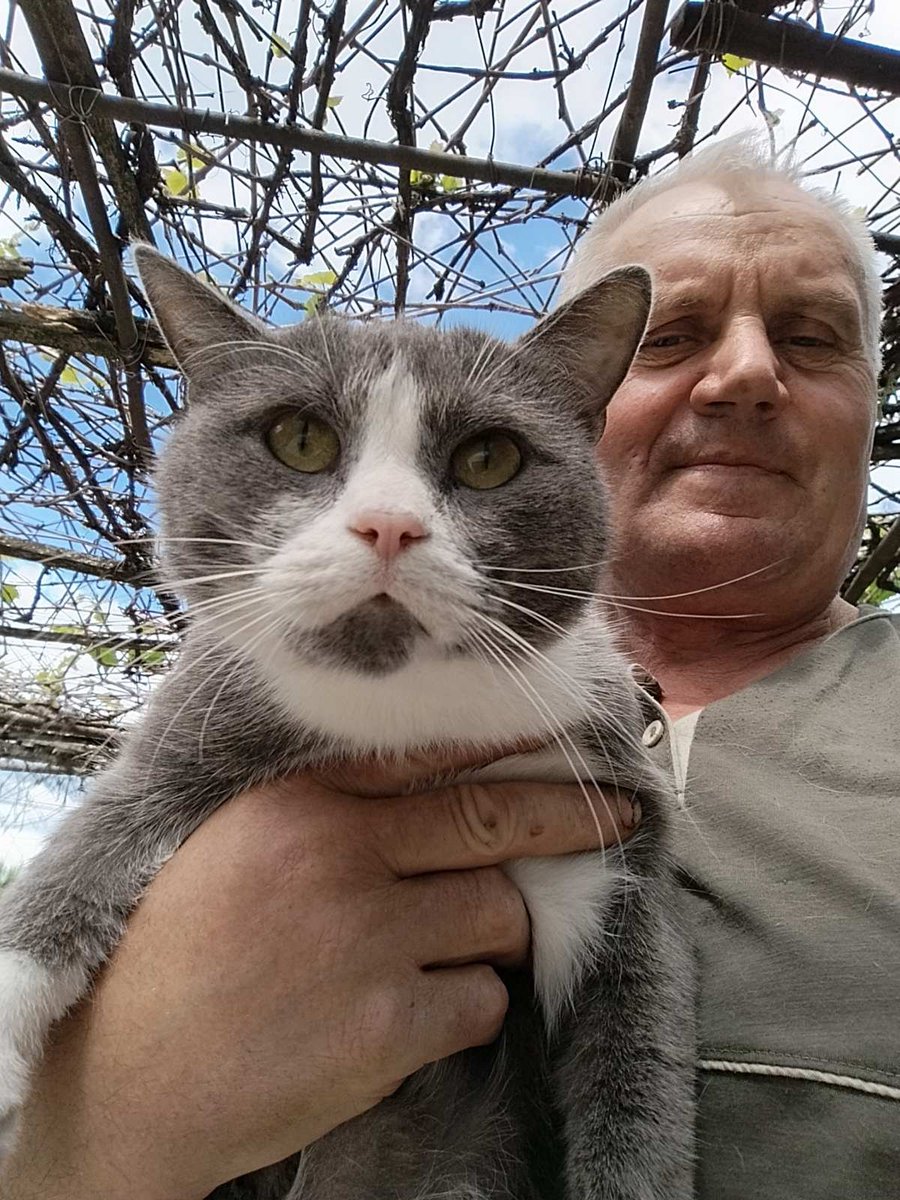 KotShurick's tweet photo. Здравствуйте! Том благодарит читательницу за личное котлетовое послание для него. Остальные пусть завидуют молча.. https://t.co/pw7A8ZFIAU