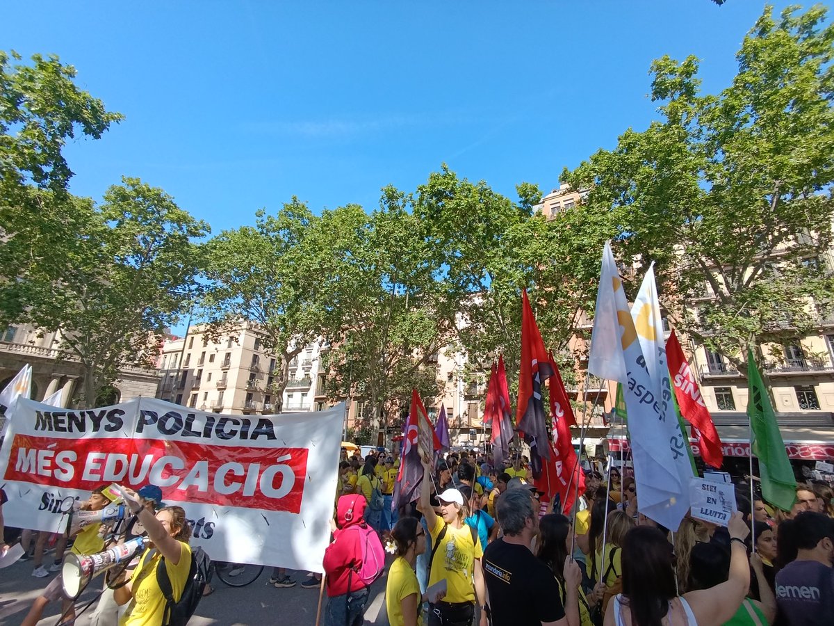 Defensem Biblios Bcn tweet media