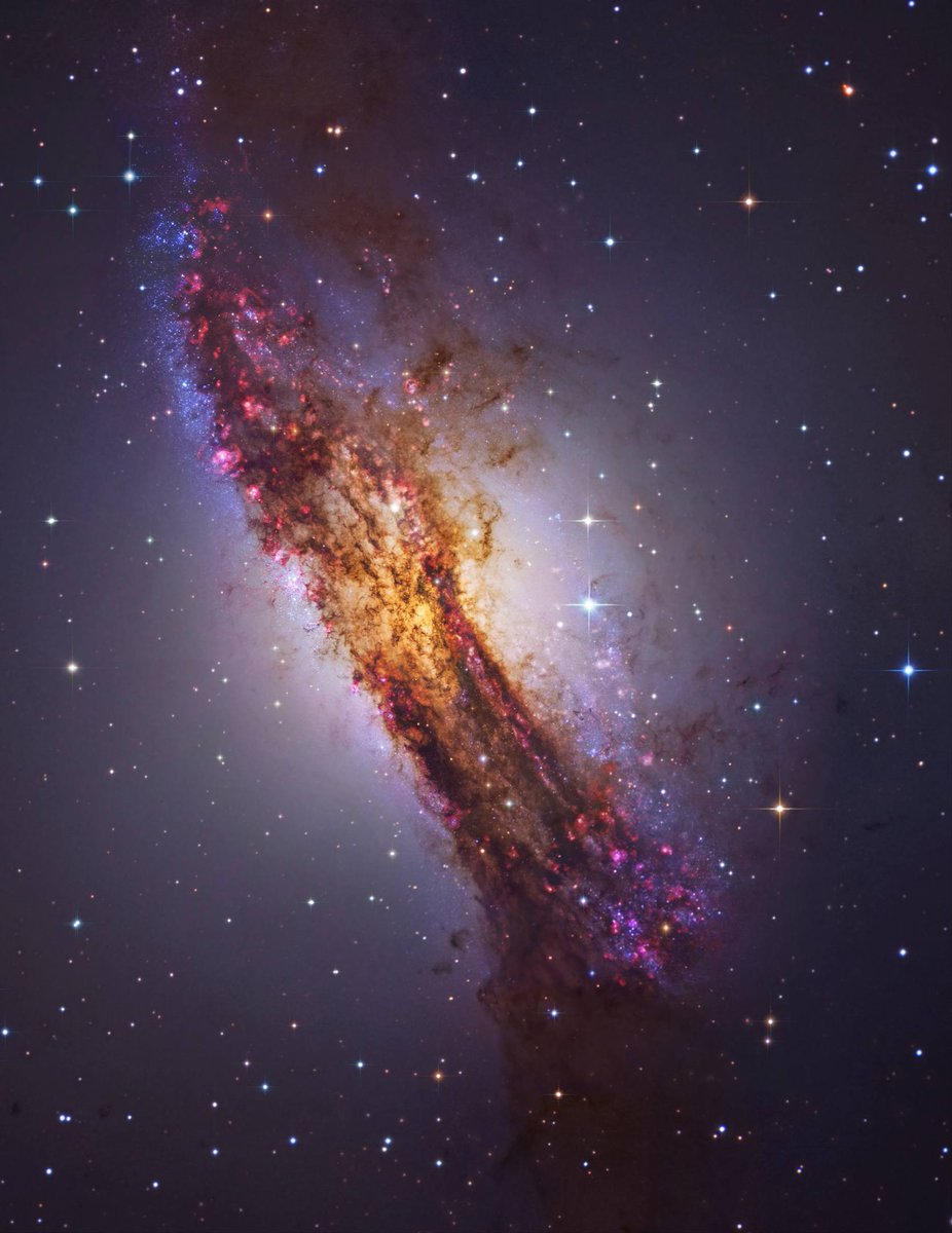 Black Hole tweet media
