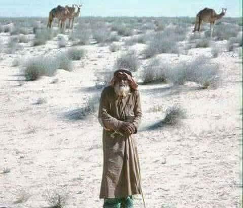 عقيًل بن محمد العقيًل( أبو أنس) tweet media