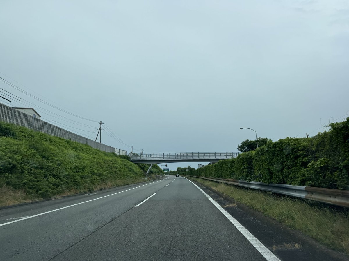 ひでまろ tweet media