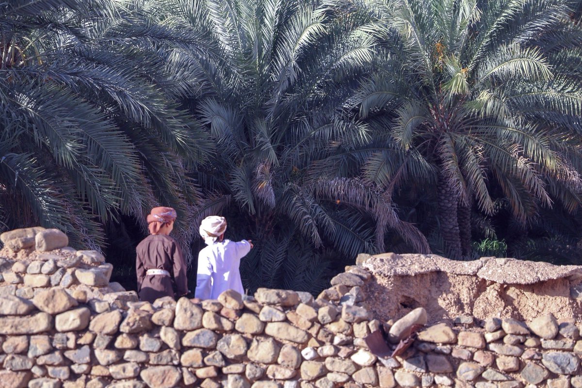 plak_malin's tweet photo. أدّى أهالي ومقيمو بلدة ريمي – بلاد الشهوم – صلاة عيد الأضحى المبارك في أجواء إيمانية مفعمة بالفرح والبهجة، وتبادلوا التهاني والتبريكات احتفاءً بحلول العيد السعيد

#عيد_الأضحى https://t.co/Mm77cW8jVB