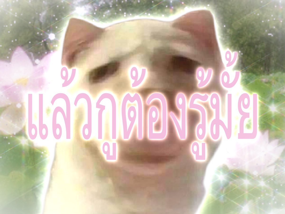 กาเบม tweet media