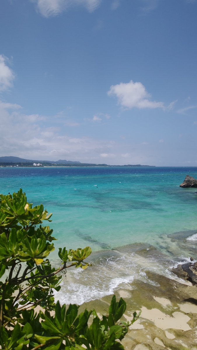kobashiyuki_x's tweet photo. ガーリックシュリンプ美味しかった🤤
💓
#沖縄 #古宇利島 #KOURI SHRIMP https://t.co/H240ezPLsi