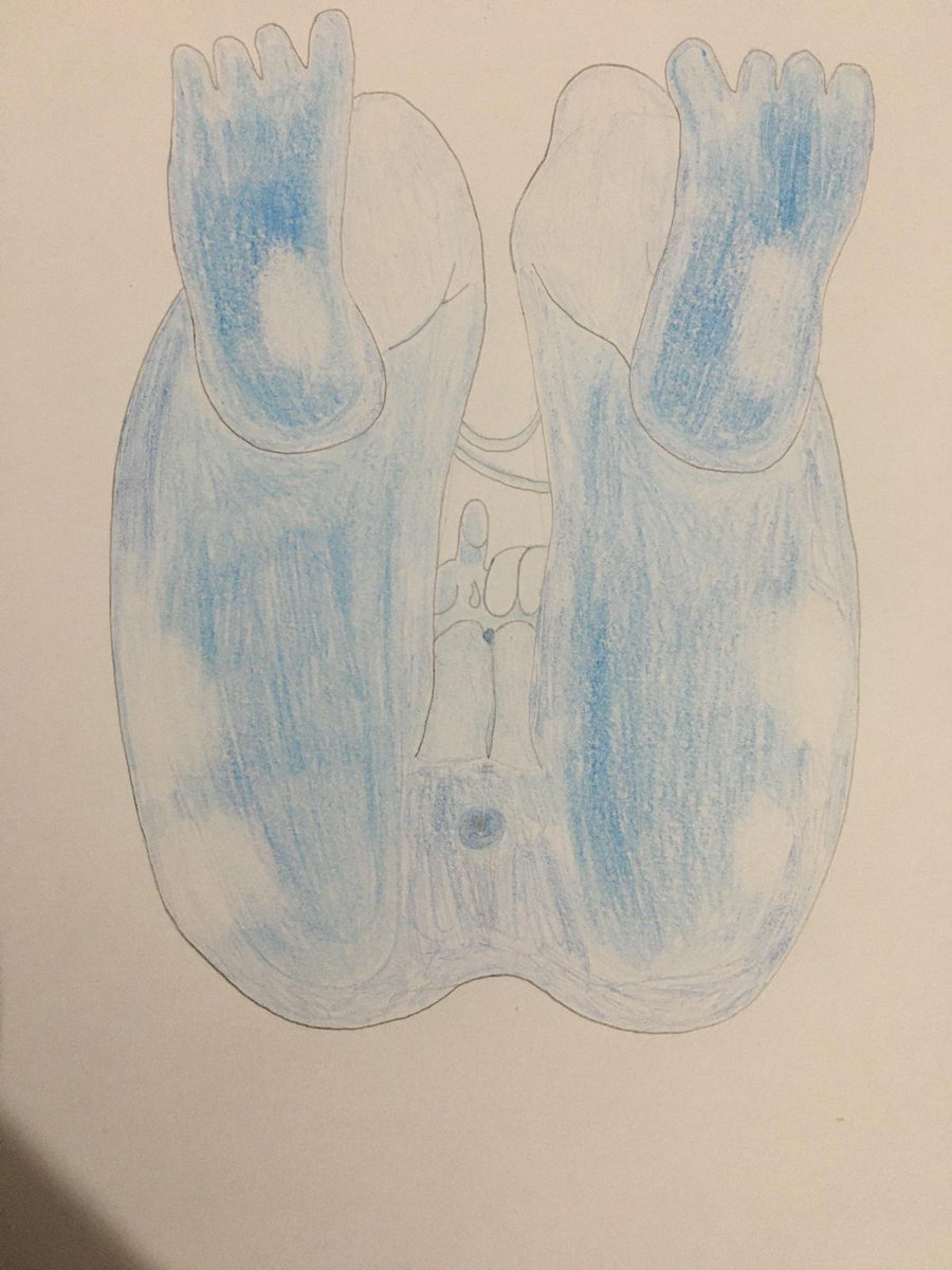 SlimePerspectiv's tweet photo. colour vers 1 vs colour vers 2 (outer parts darker? blue mixed into)

colour test https://t.co/5WaDTnC0a7