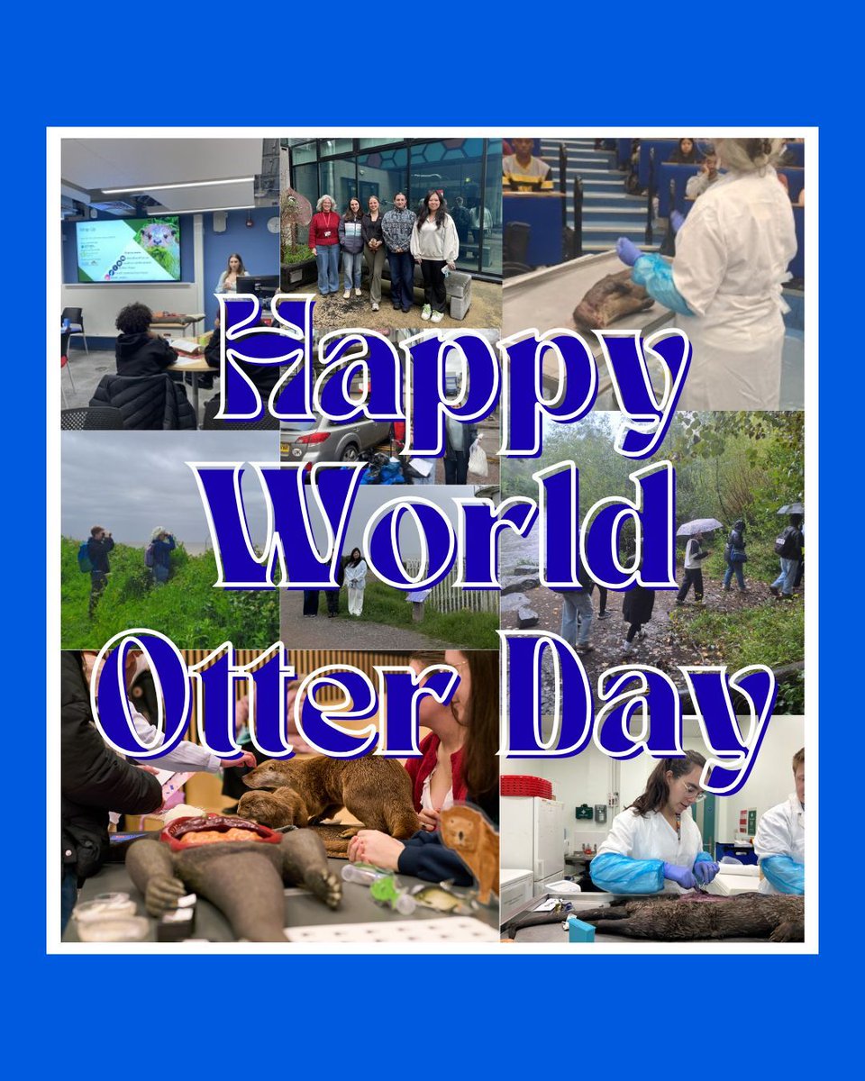 Otter_Project's tweet photo. Happy World Otter Day from CUOP! We want to say a huge thank you to our collection network who make what we do possible. In particular @EnvAgency and @NatResWales who do equally amazing work in England and Wales. We received 157 otters thanks to the brilliant people supporting us https://t.co/NMi2EgdQI3