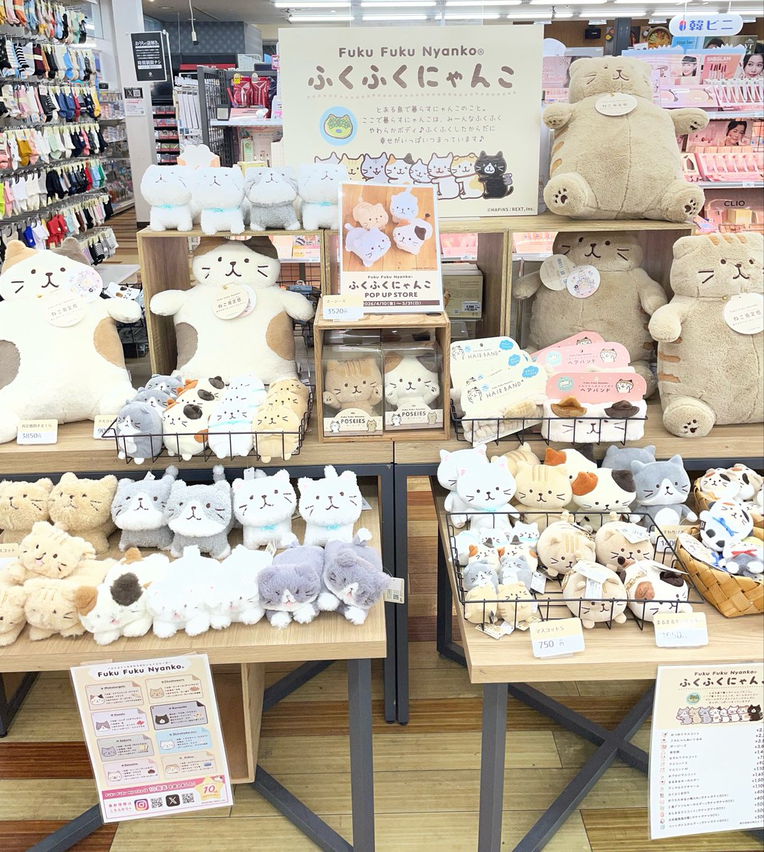 Fuku Fuku Nyanko(ふくふくにゃんこ) (@fukufuku_nyanko) / Posts / X