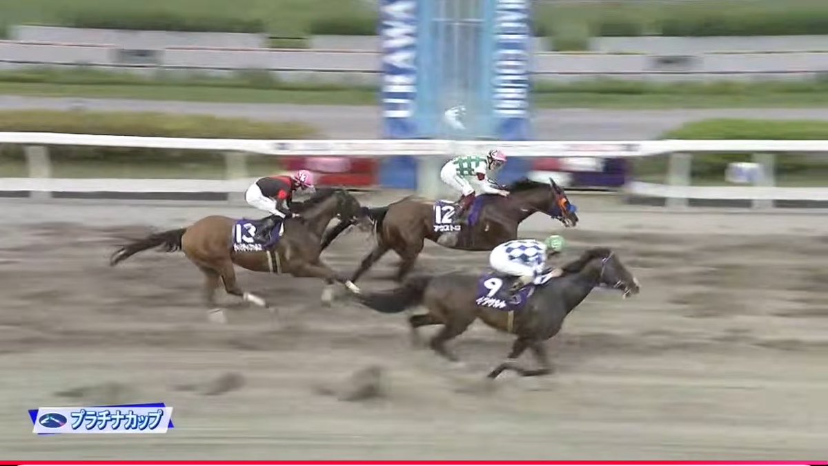 ぶろ︎︎︎︎お。🏇競馬シート【BINDEX】 (@buro1225) / Posts / X