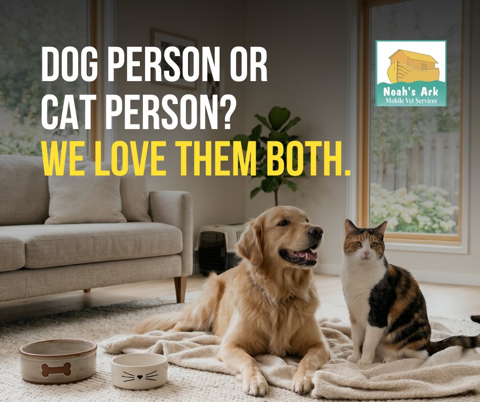 noahsarkmobile's tweet photo. Whether you're team dog, team cat, or somehow managing both under one roof, every pet deserves quality care in a place where they feel comfortable. 

Whatever team you're on, we've got your pet covered. Call or text 250-212-5069 to book an in-home visit.

#noahsmobileveterinarian https://t.co/w0H1UYnMN5