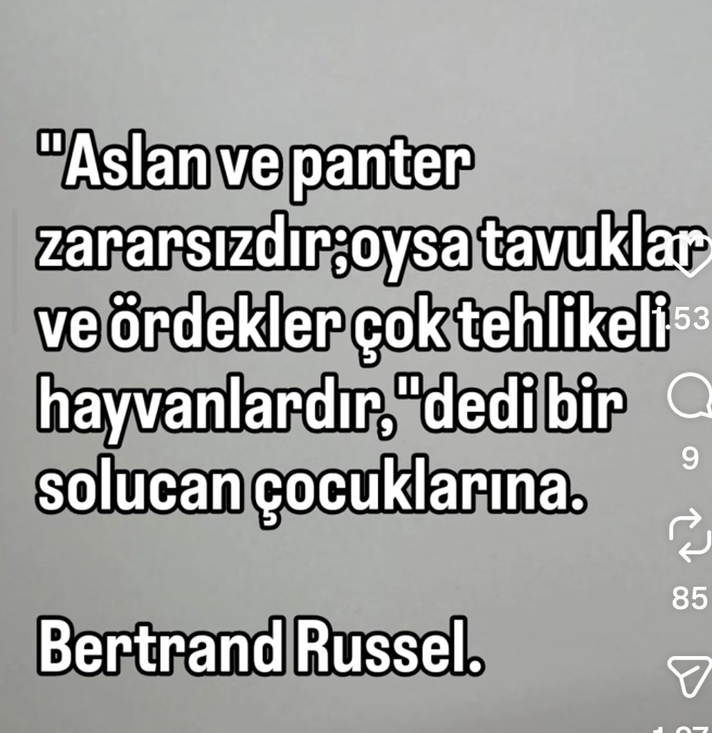 Barış tweet media