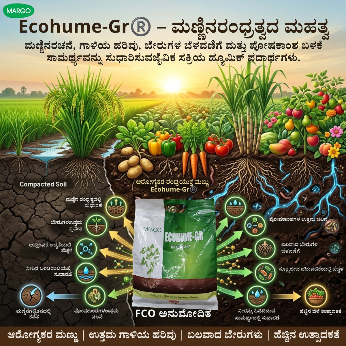 PJMARGOBIO's tweet photo. Healthy soil begins with better porosity. 🌱

Ecohume-Gr® – Building healthier soil for stronger crops.

#EcohumeGR #SoilHealth #SoilPorosity #HumicSubstances #SustainableAgriculture #ResidueFreeFarming #CropProductivity #MARGO https://t.co/dtViTkKQ9r