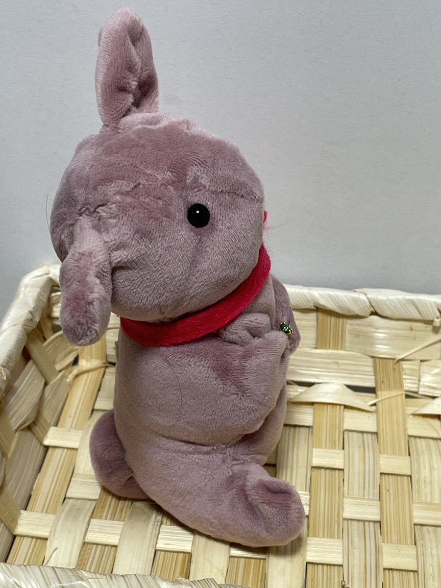 うさぎさんぬいぐるみ #ハンドメイド好きさんと繋がりたい #うさぎ