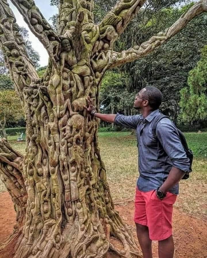 Historical Africa tweet media