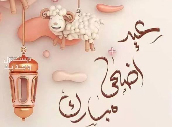 اميلي tweet media