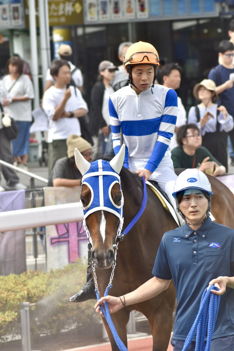 kaiyen_ooi's tweet photo. 続き

さらに続く https://t.co/X7ntIxDwcS