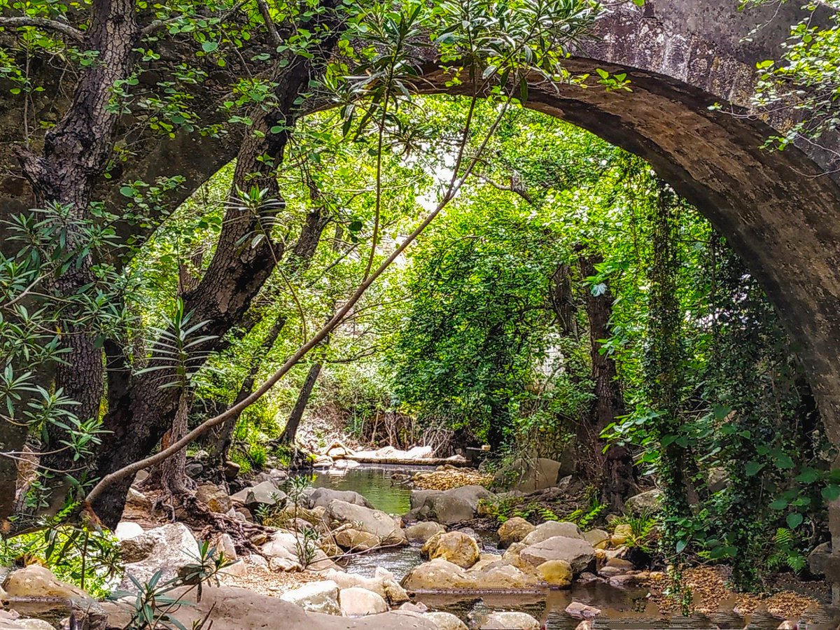 CadizTurismo's tweet photo. ¿Buscas un planazo lleno de sabor, artesanía y cultura para estos días? La Plaza Alta de Algeciras se llena de la riqueza artesanal de los parques naturales de Cádiz 😄 Info: https://t.co/rzOZzB5kfe Vía @8Directo_  #CádizSostenibleQuiereVerte @diputacioncadiz https://t.co/EjpdNrwwUl