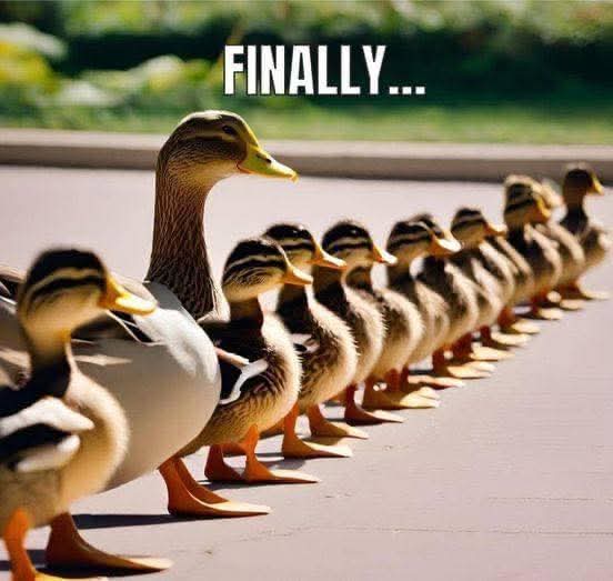 Colleen Hardy 🇮🇱 tweet media