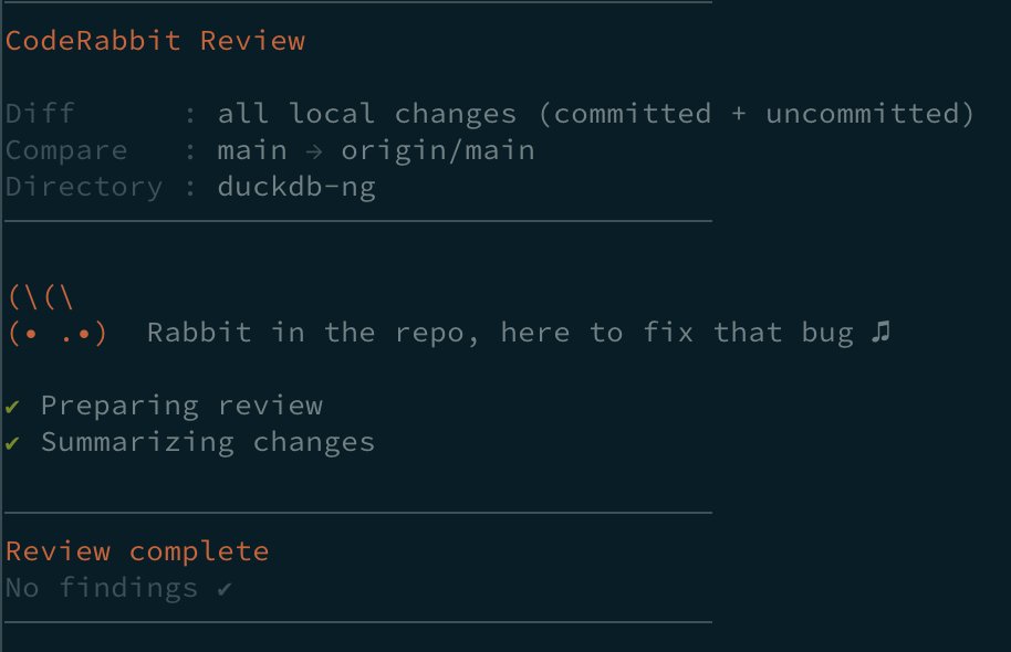 mlafeldt's tweet photo. Does the @coderabbitai CLI actually find anything useful on the free plan? Always reports "No findings" for me. https://t.co/bhdz0uEaEv