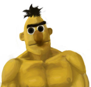 bert tweet media
