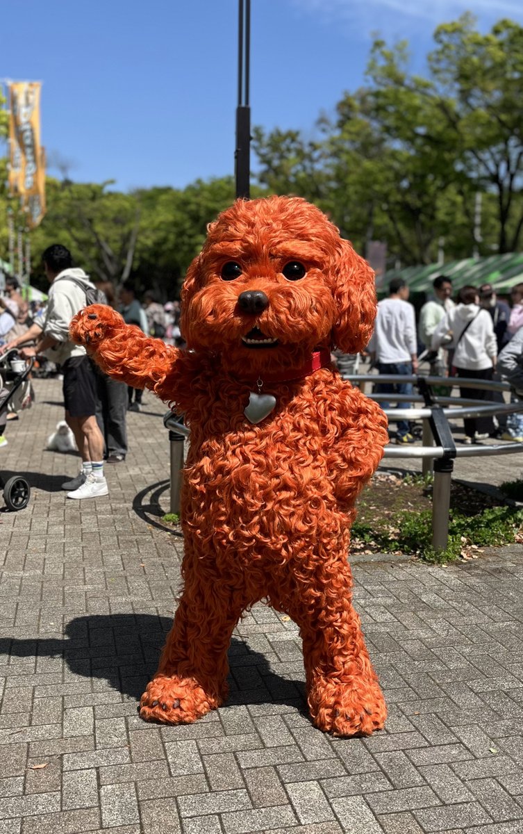 DecaPaw's tweet photo. 等々力ドッグフェスティバル！？楽しそうだワン！
ボクも遊びに行くワン〜！

#等々力ドッグフェスティバル
#decapaw #デカプー https://t.co/RTiSsI74N2