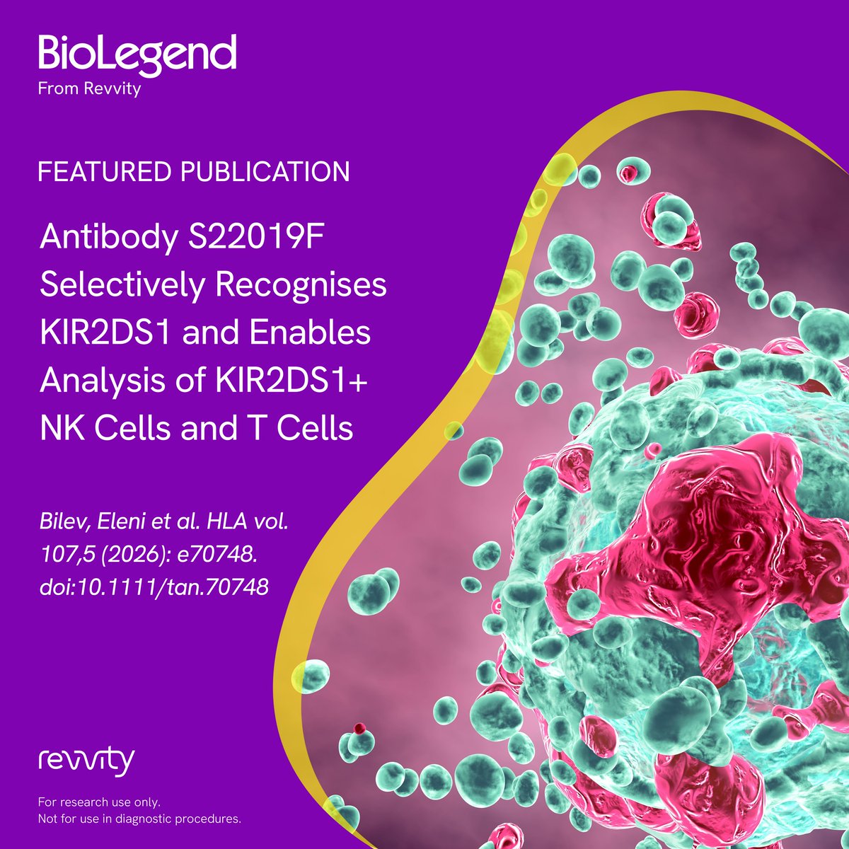 BioLegend's tweet photo. Check out our new publication, where BioLegend scientists created the first commercially available monoclonal antibody (S22019F) specific for KIR2DS1, a marker that can regulate NK cell function via HLA ligands. Learn more about our testing at: https://t.co/dqhTOK0XZz https://t.co/eG5i74ZVu6