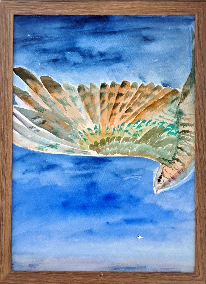 kaigakai's tweet photo. 【新歓展】No.6

「夜鷹」
人間科学部４年　高山
A4、水彩
コメント：『よだかの星』から描きました！ https://t.co/jRzYIY1T9E