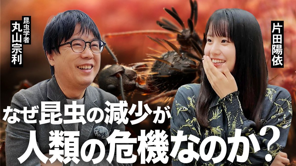 piyo_bug's tweet photo. 丸山宗利先生との対談動画です！！ https://t.co/ZjFuBSilL0
