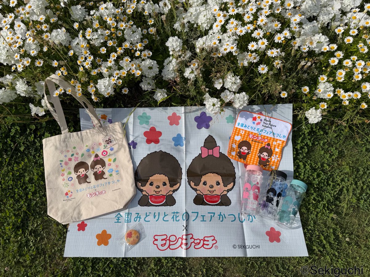 モンチッチ【公式】 (@monchhichi126) / Posts / X