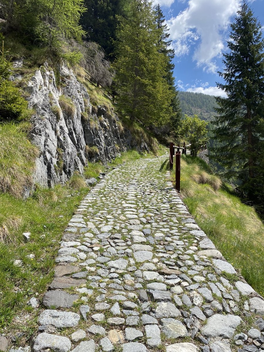 Sara2409558447's tweet photo. La mia è cominciata camminando su nuvole di sassi.
Che anche la vostra sia piena di luce e passi felici.
Buona giornata a tutti e a tutte ! 🌄🪨 🌿🌞
#BuonaGiornata #Montagna #Sentiero #Natura #Hiking https://t.co/06ZwePLIKB