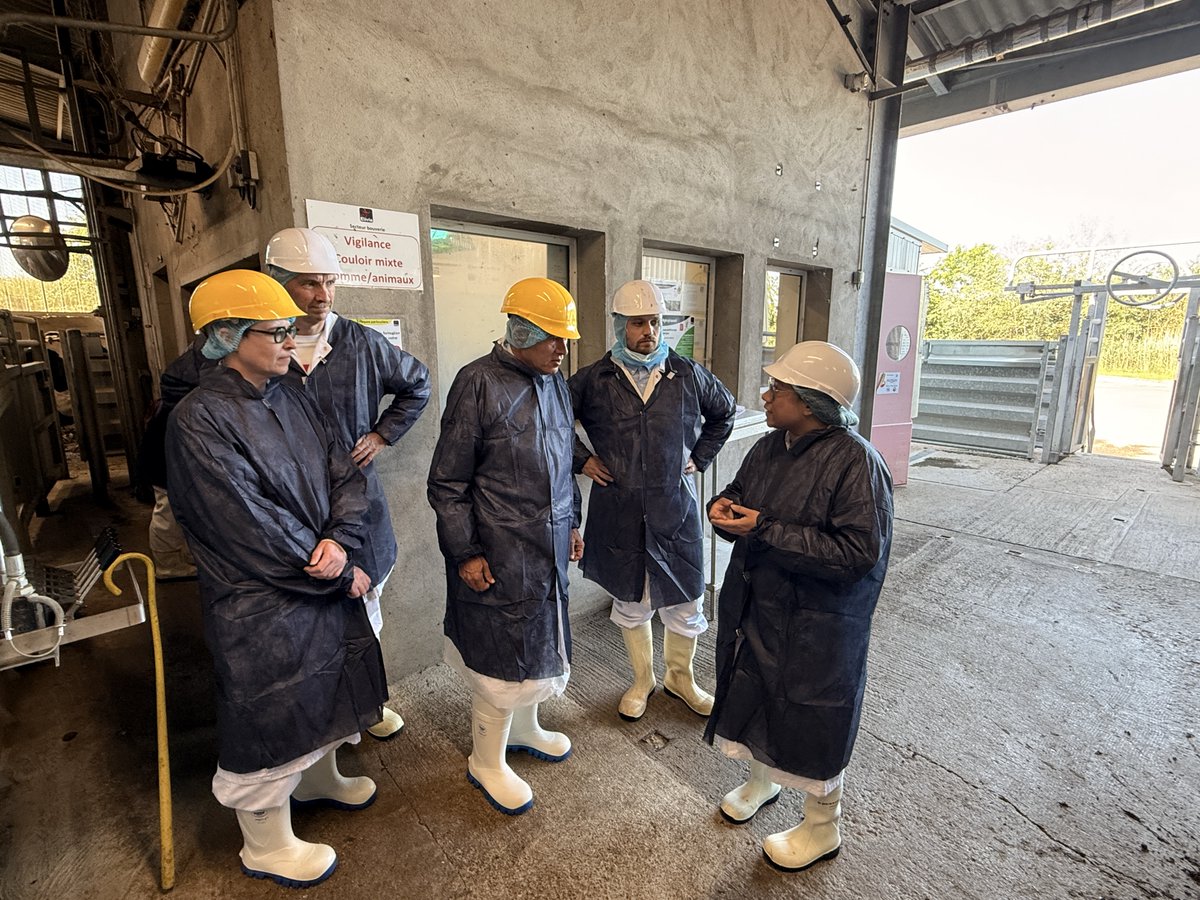 Prefet88's tweet photo. Ce matin, Blaise GOURTAY, préfet des Vosges, s’est rendu à l’abattoir Elivia de Domvallier à l’occasion des préparatifs de l’Aïd-el-Kébir.

Les services de l’État sont mobilisés pour garantir :
✔️ la sécurité sanitaire des viandes
✔️ le respect de la protection animale
✔️ la traçabilité des animaux
✔️ la prévention des abattages clandestins
Les contrôles réalisés par les services vétérinaires et les forces de sécurité permettent de concilier liberté de culte, santé publique et respect de la réglementation.
#Vosges #AïdElKébir #ServicesDeLE