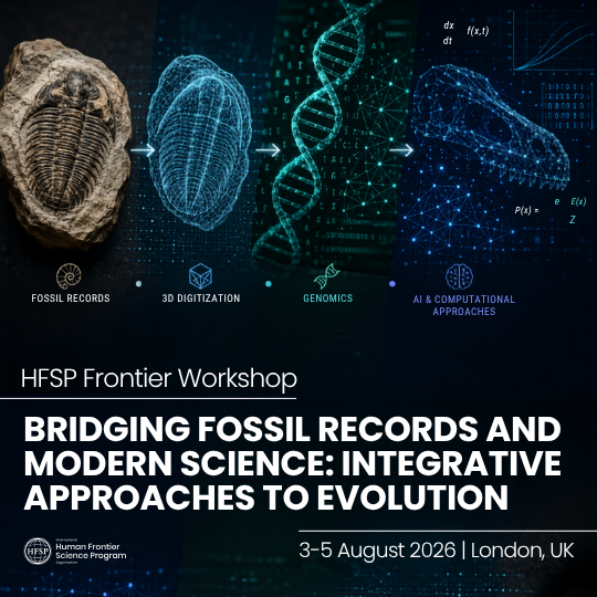 HFSP's tweet photo. AI, 3D digitization &amp; genomics are transforming how we study evolution and fossil records.

The HFSP Frontier Workshop explores these new frontiers.🧪 

📣 Call for Abstracts Open
🔗 Submit here: https://t.co/0dUltnkw3X 

#sts #HFSP #Evolution #AI #Paleontology https://t.co/k4kUlEJJ7i