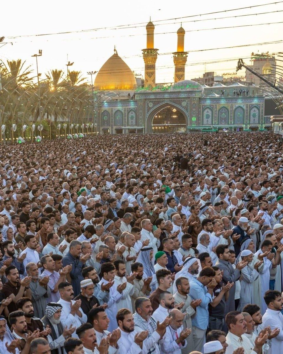 علي الشمري tweet media